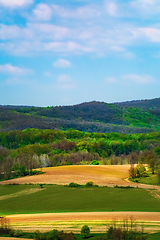 Image showing Fields in Carpathian mountains