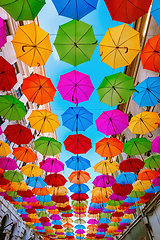 Image showing Umbrella street in Timisoara