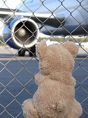 Image showing Toy Teddy Bear and Plane 