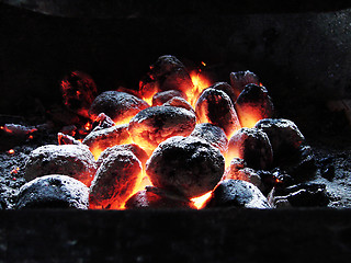 Image showing Burning coals