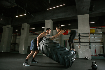 Image showing A muscular athletes doing workout at the gym