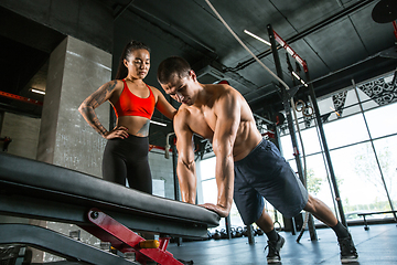 Image showing A muscular athletes doing workout at the gym