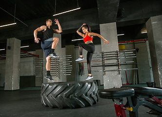 Image showing A muscular athletes doing workout at the gym