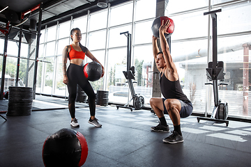 Image showing A muscular athletes doing workout at the gym