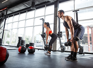 Image showing A muscular athletes doing workout at the gym