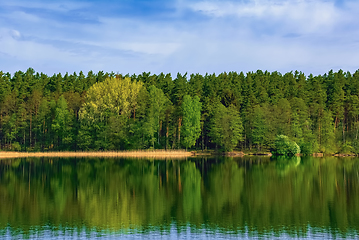 Image showing Forest by the lake