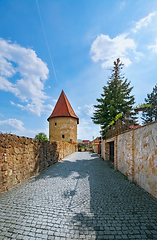 Image showing Tower in Bardejov