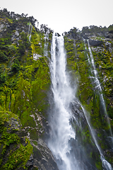 Image showing Waterfall in Milford Sound lake, New Zealand