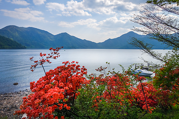 Image showing Red flowers around Chuzenji lake, Nikko, Japan