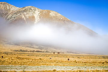Image showing Mountain fields landscape in New Zealand