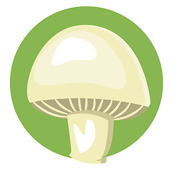 Image showing Mushroom vector color illustration.