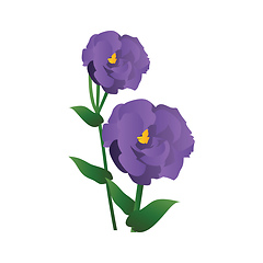 Image showing Vector illustration of purple lisianthus flowers with green leaf