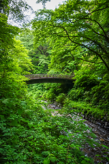 Image showing Traditional japanese wooden bridge in Nikko, Japan