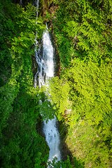 Image showing Kegon falls, Nikko, Japan