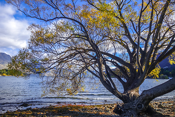 Image showing Lake Wakatipu, New Zealand