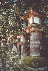 Image showing Kasuga-Taisha Shrine lanterns, Nara, Japan