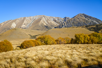 Image showing Mountain fields landscape in New Zealand