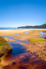 Image showing Abel Tasman National Park, New Zealand