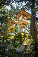 Image showing Kasuga-Taisha Shrine lanterns, Nara, Japan