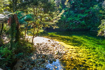 Image showing River in Abel Tasman National Park, New Zealand