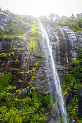 Image showing Waterfall in Milford Sound lake, New Zealand