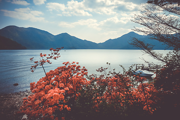 Image showing Red flowers around Chuzenji lake, Nikko, Japan