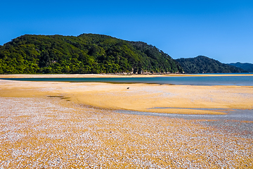 Image showing Abel Tasman National Park, New Zealand