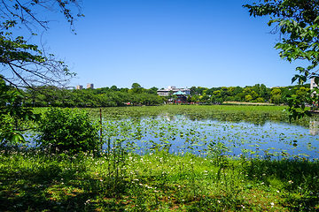 Image showing Shinobazu pond and Benten Hall Temple, Ueno, Tokyo, Japan