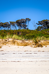 Image showing Dunes in Abel Tasman National Park, New Zealand