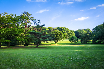 Image showing Yoyogi park garden, Tokyo, Japan