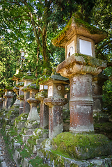 Image showing Kasuga-Taisha Shrine lanterns, Nara, Japan