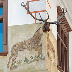 Image showing Corner of a House with a Deer Head