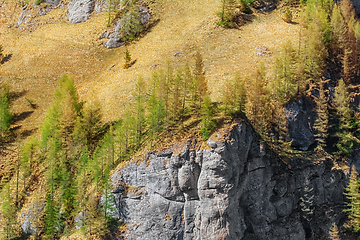 Image showing Mountainside of Bucegi