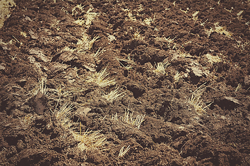 Image showing An arable land