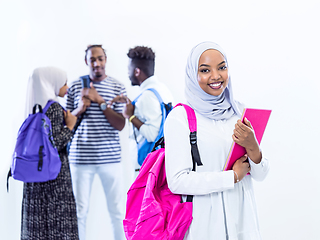 Image showing portrait of african female student with group of friends