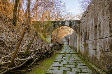 Image showing Inside the Fortress