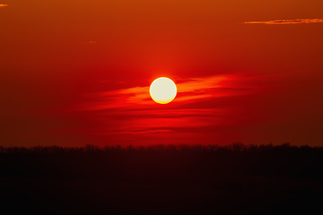 Image showing Sunset over Forest