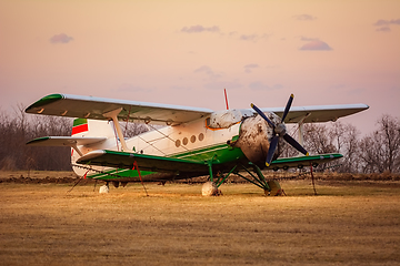 Image showing Old Airplane on the Airfield