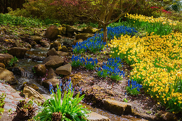 Image showing Flower Bed in the Park