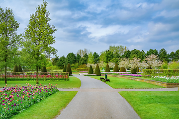 Image showing Spring in the park