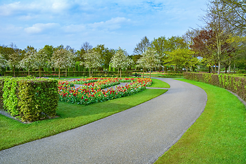 Image showing Spring in the park