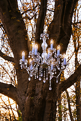 Image showing Crystal Chandelier in the forest