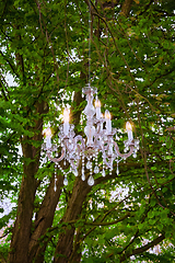 Image showing Crystal Chandelier in the forest