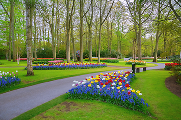 Image showing Spring in the park