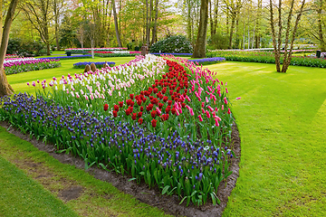 Image showing Spring in the park