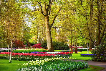 Image showing Spring in the park