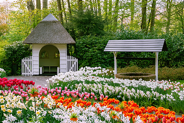 Image showing Spring in the park