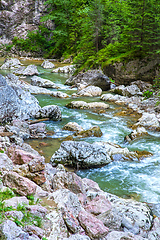 Image showing Rocky mountain river in summer