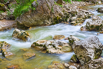 Image showing Summer river flowing in the mountains