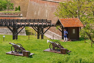 Image showing Fortress Cannons in Alba Carolina Citadel,